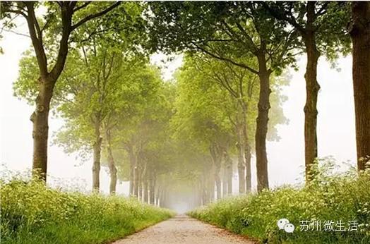 房价下跌城市苏州,房价还会继续下跌吗苏州