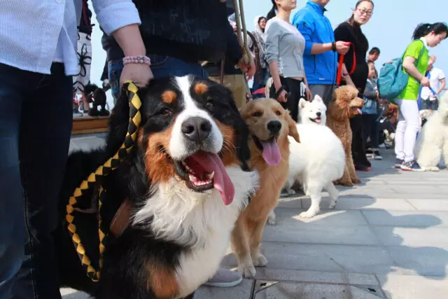 鏉ヨ繖閲屾劅鍙楃儫鐏皵鍜屽褰╀笉澶滃煄,鏉ヨ繖閲屼綋楠屼笘澶栨婧愮殑鎰熻