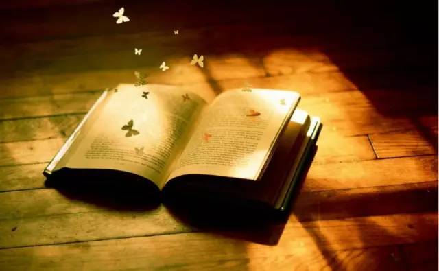 这几本书值得一读,2022年这22本书值得一读再读