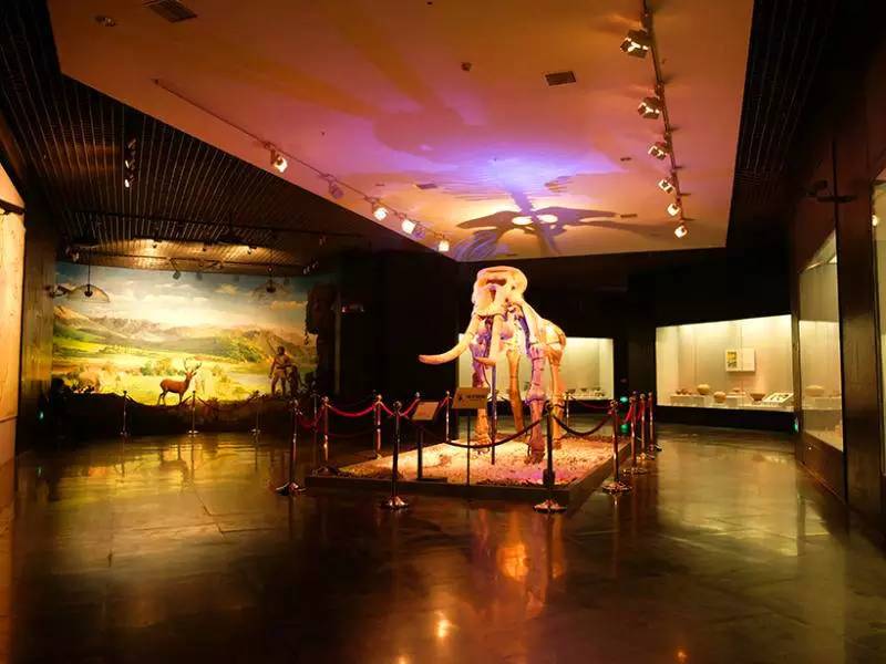 洛阳老君山旅游攻略最详细,洛阳旅游必去景点大全排名榜