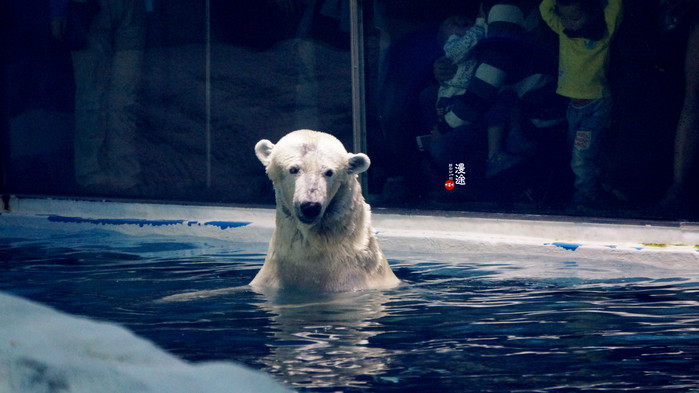 新年广州珠海长隆游记,广州珠海长隆澳门自由行攻略