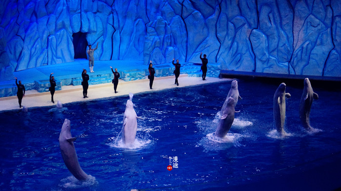 新年广州珠海长隆游记,广州珠海长隆澳门自由行攻略