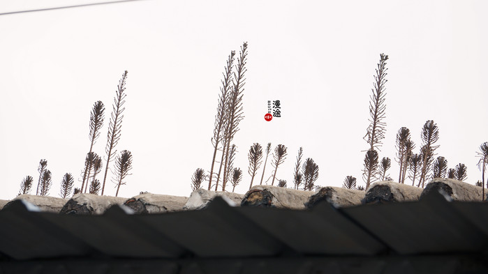 新年广州珠海长隆游记,广州珠海长隆澳门自由行攻略