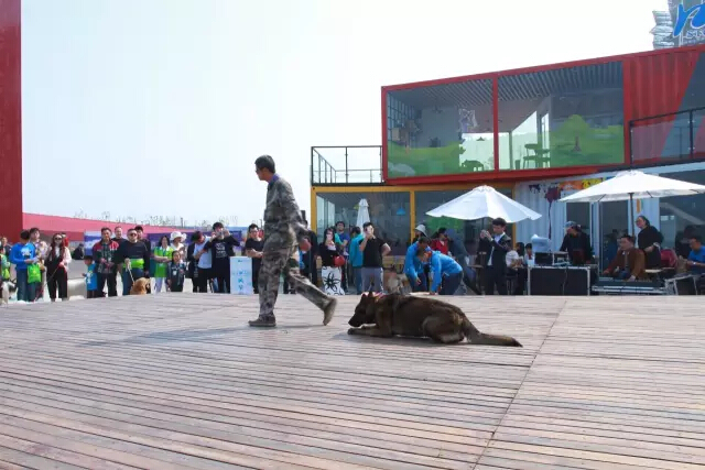 鏉ヨ繖閲屾劅鍙楃儫鐏皵鍜屽褰╀笉澶滃煄,鏉ヨ繖閲屼綋楠屼笘澶栨婧愮殑鎰熻