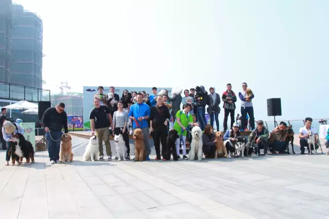 鏉ヨ繖閲屾劅鍙楃儫鐏皵鍜屽褰╀笉澶滃煄,鏉ヨ繖閲屼綋楠屼笘澶栨婧愮殑鎰熻