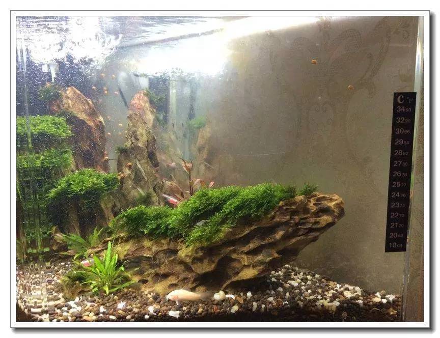 新手入坑的一点感悟,社区演讲精华篇