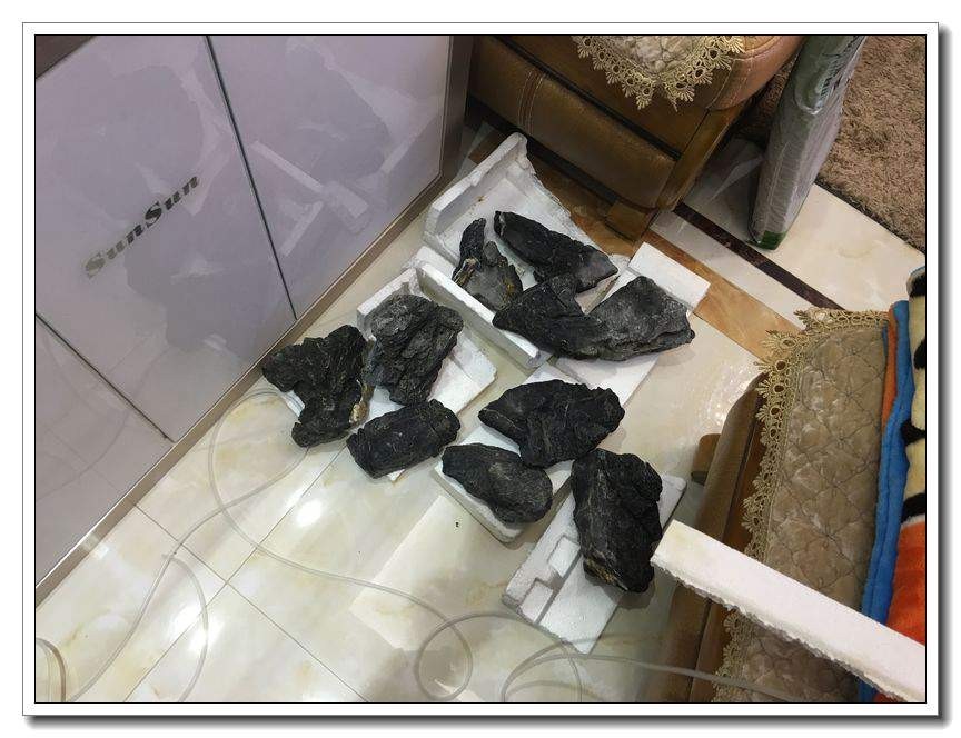 新手入坑的一点感悟,社区演讲精华篇