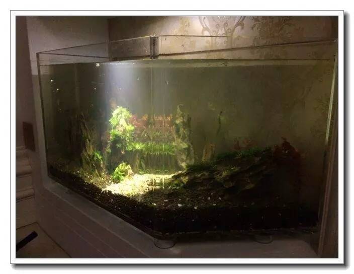 新手入坑的一点感悟,社区演讲精华篇