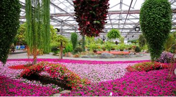 周末看花一日游,周末去哪玩一花一草一世界