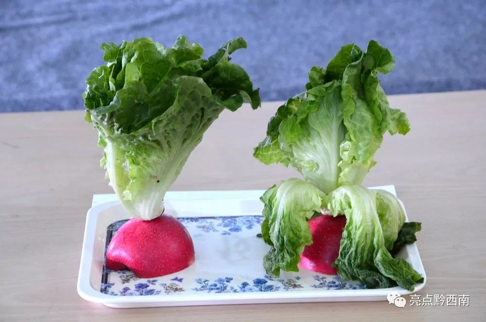 11天后，兴义这项“挑战不可能”结果出来啦！见证的人都服了！