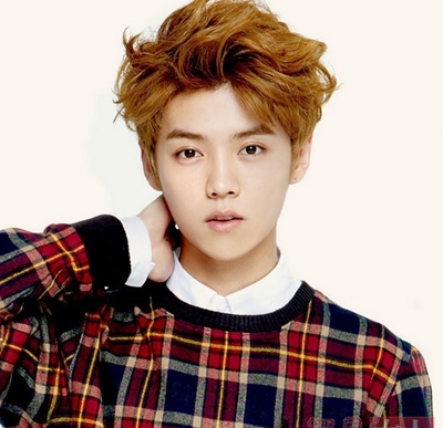 exo鹿晗事件,exo鹿晗受过的伤