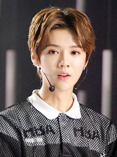 exo鹿晗事件,exo鹿晗受过的伤