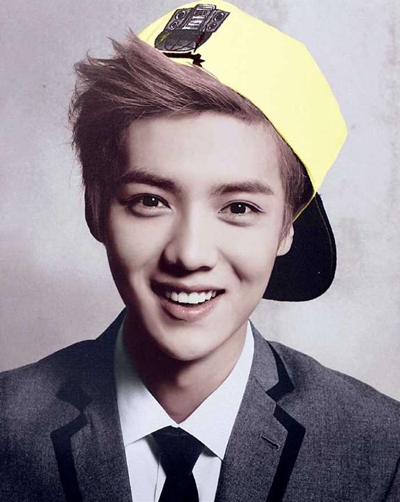 exo鹿晗事件,exo鹿晗受过的伤