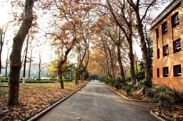 忆青春：在中国科学技术大学就读是怎样一种体验？