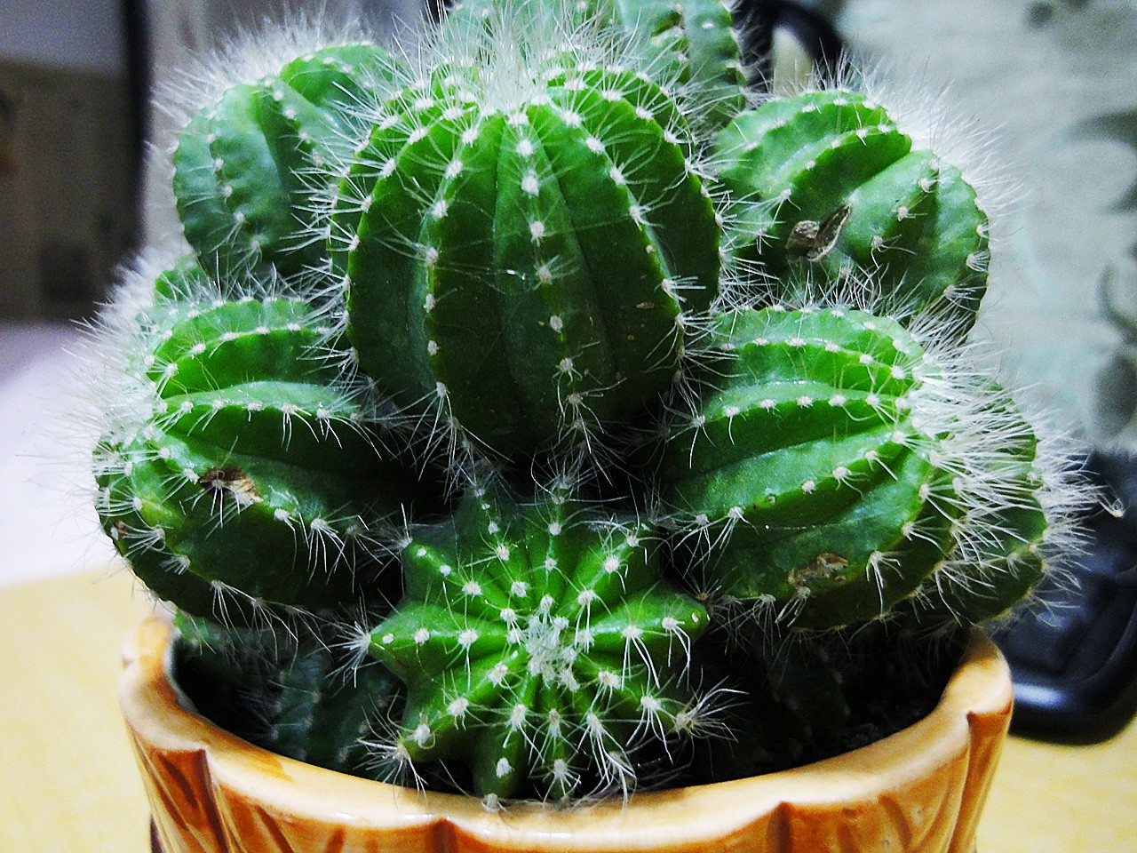 孕妇防辐射需要注意事项,孕期怎么防辐射一篇文章轻松看懂