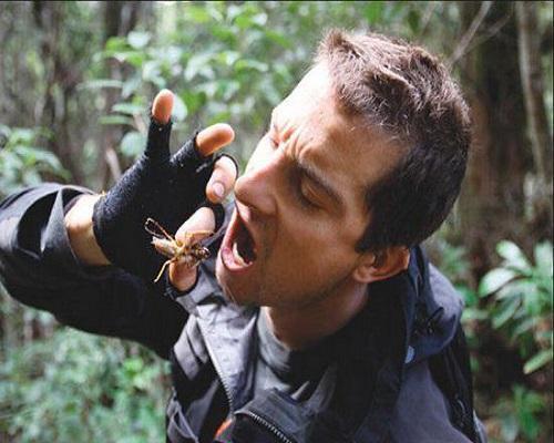 食虫植物怎么吃虫子,食虫植物是怎么吃掉虫子的