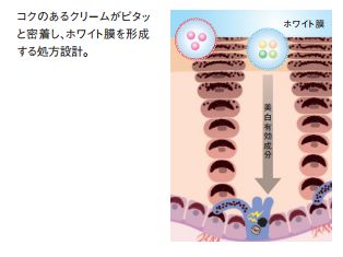 pola美白系列哪个好,pola美白系列哪款好