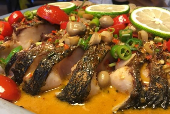 成都吃鱼最好吃的地方,成都吃鱼推荐