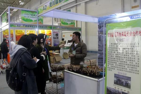 全国被点名表扬的四位明星,自治区表彰桂林多人登上光荣榜