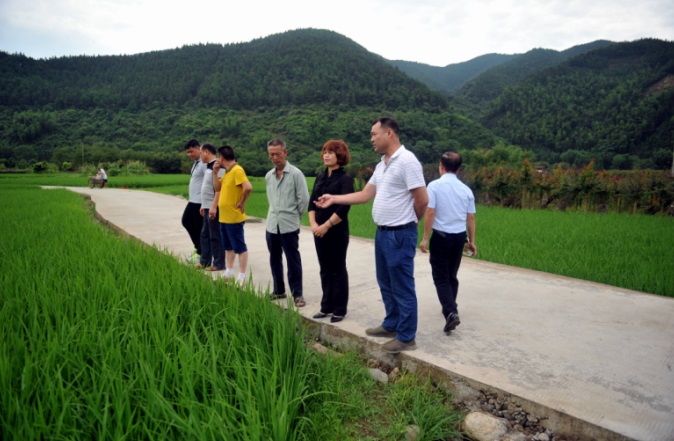 全国被点名表扬的四位明星,自治区表彰桂林多人登上光荣榜