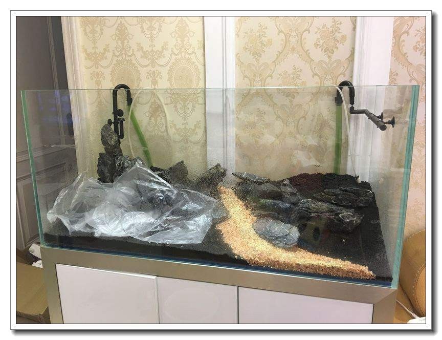 新手入坑的一点感悟,社区演讲精华篇