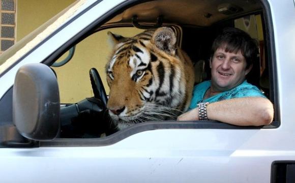 单身狗为什么要坐牢,单身狗开车违法吗