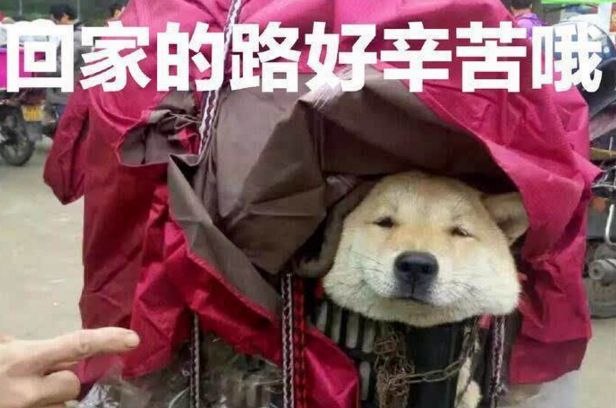 福清出入境最新通知,福清人去福州办护照可以吗