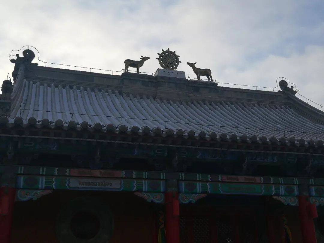 夏季的锡林浩特有多美,锡林浩特市的美景变化