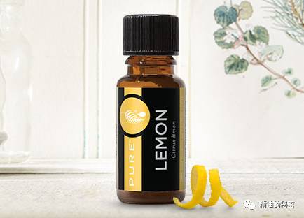 各种精油功效,有什么护肤精油好用