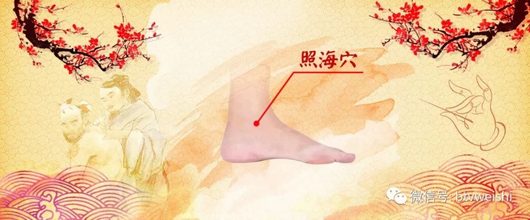 养生堂今日现场直播回放,养生堂程氏针灸视频