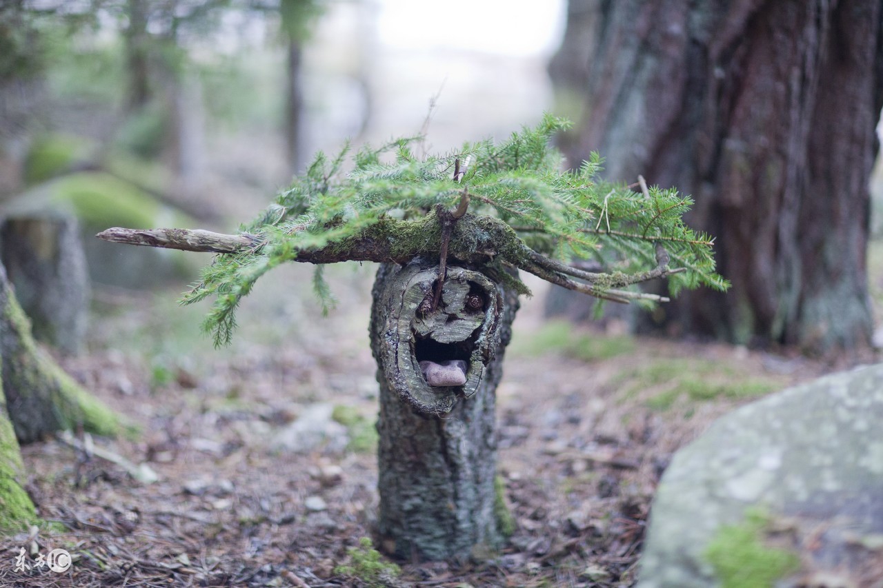 古今最霸气的五个姓氏,最霸气的五个姓氏