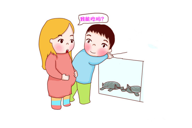 孕期补充dha会导致宝宝头大吗,在孕期什么阶段补充dha效果最佳