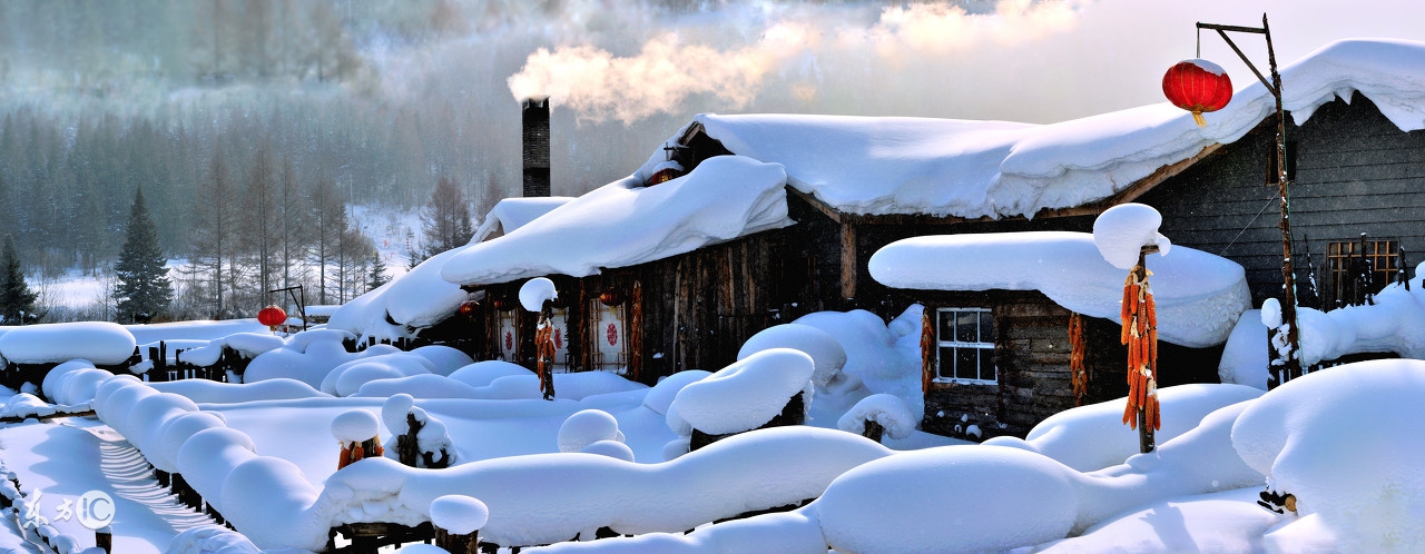 老话说猪来穷狗来富鸡来会怎么样,农村里狗来富猫来穷是真的吗