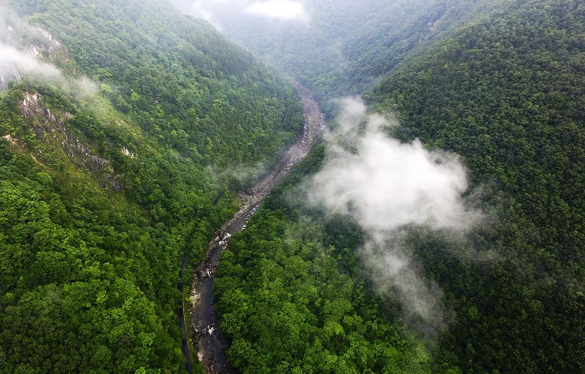 腊肉烧了有味道,腊肉散发出很浓的味道