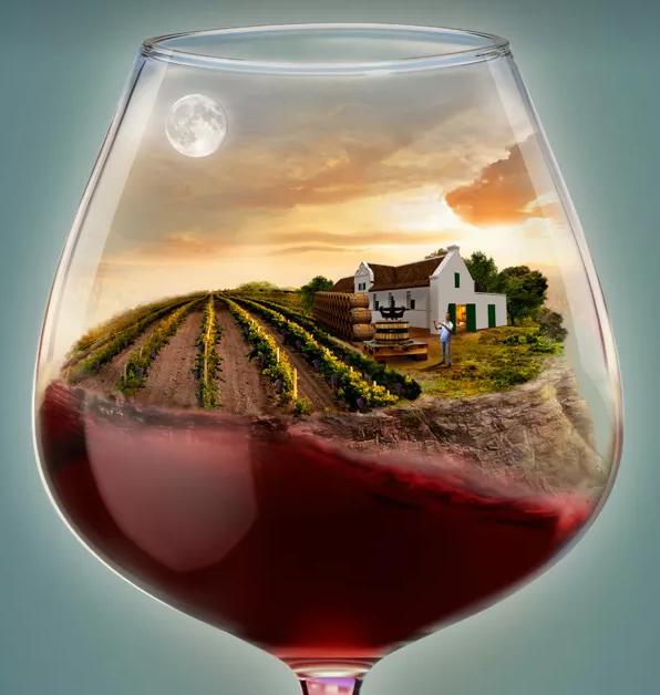 纯天然葡萄酒对失眠有什么好处,红葡萄酒催眠配方大全