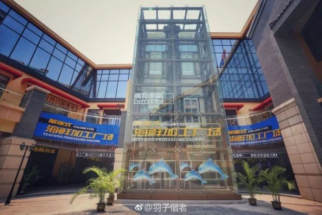 2017年工作总结视频,年终总结收获与展望