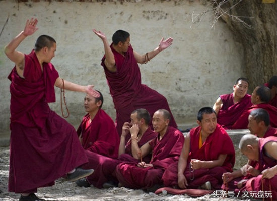 买精品凤眼需要注意哪些,买凤眼要注意什么