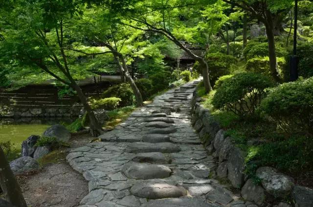 为啥日本自由行首选大阪而非东京,日本自由行忌讳