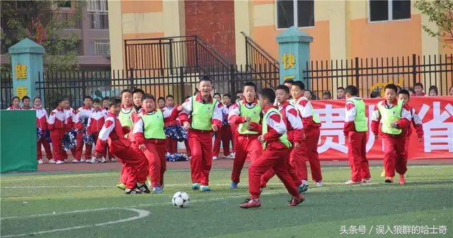 国家对于体育的重视文案,国家重视体育文案