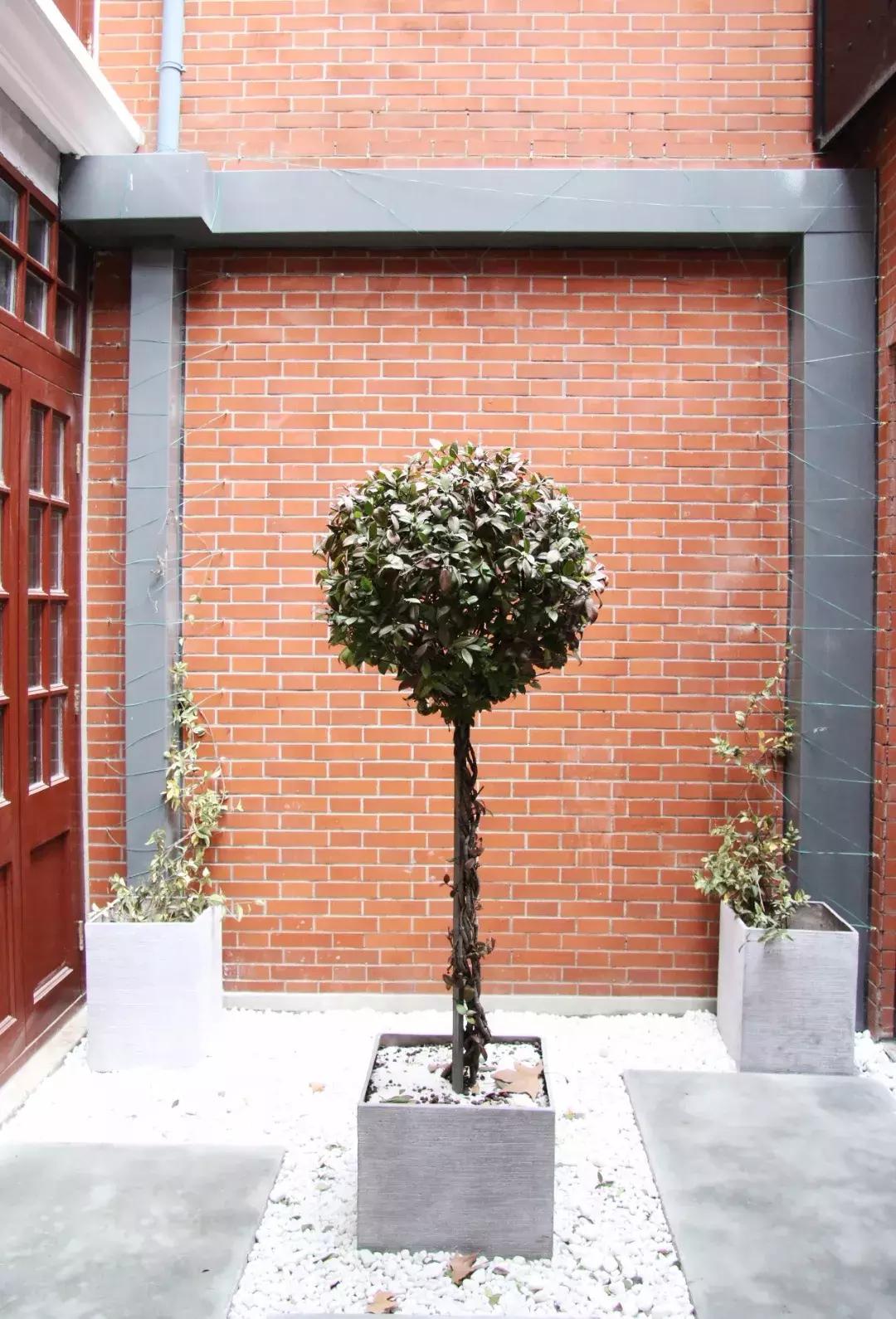 有设计感的咖啡馆,全世界最有设计感的咖啡店