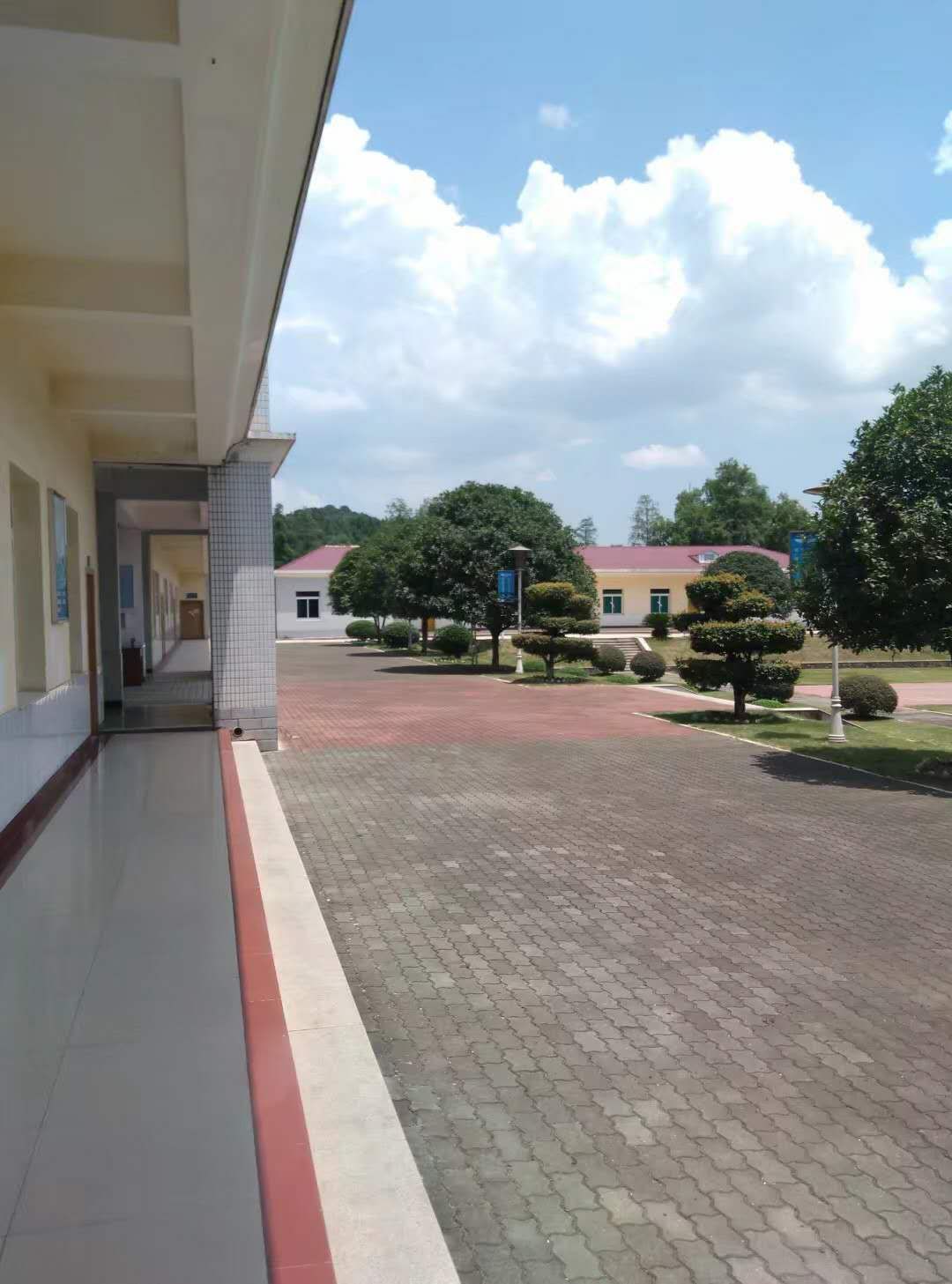 表白神器绝对一次就成功,5款表白神器