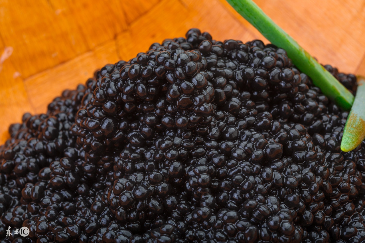 鱼子酱世界顶级美味,鱼子酱美味的原因