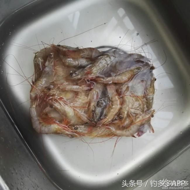 自制七星漂钓小鱼,自制七星鱼漂最简单