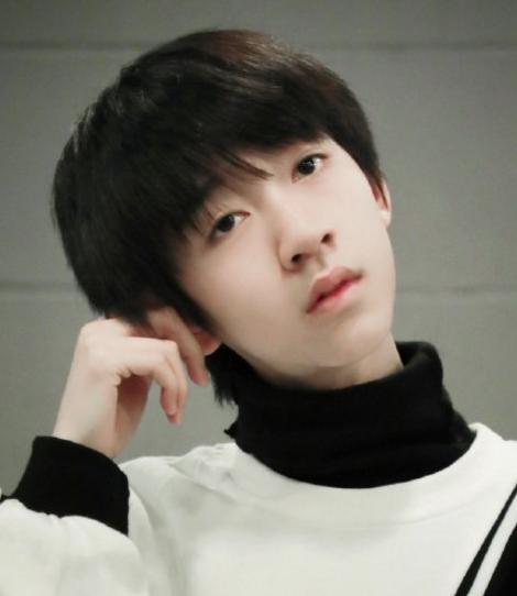 tf家族贺峻霖和小朋友们,tf家族贺峻霖成员