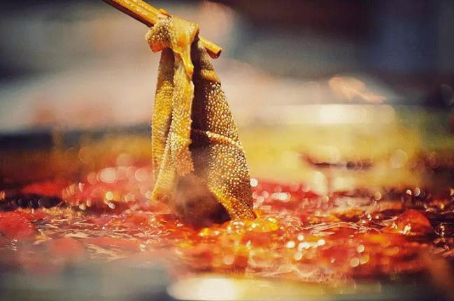 米家电磁炉做菜大全,米家电磁炉做菜神器