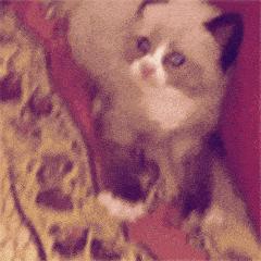 暴食了？只能自救，良方在此