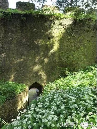 两位英国园艺师却将他们最好的作品留给了自己