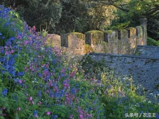 两位英国园艺师却将他们最好的作品留给了自己