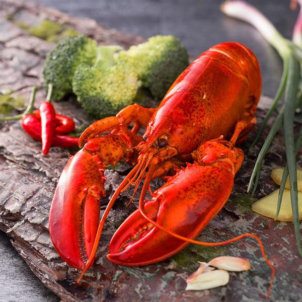 寒冷的冬天唯有火锅可以拯救,寒冷的冬天唯有火锅暖胃又解馋