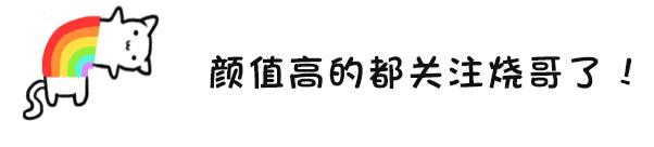 奥齿泰的牙冠是什么材料的,全瓷牙冠哪种材料比较好